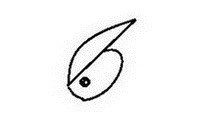 吃虫子的啄木鸟简笔画步骤