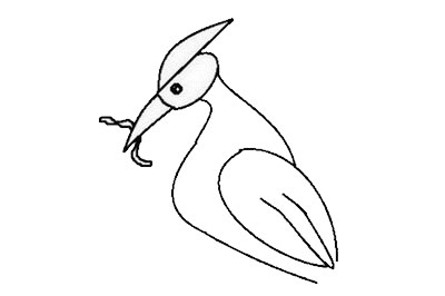 吃虫子的啄木鸟简笔画步骤