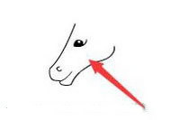 马的简笔画怎么画简单又漂亮