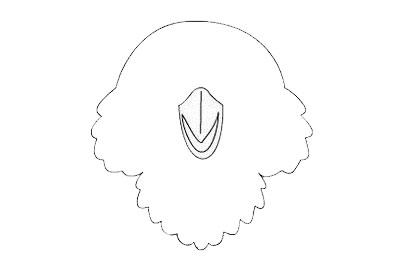 猫头鹰简笔画怎么画简单又漂亮