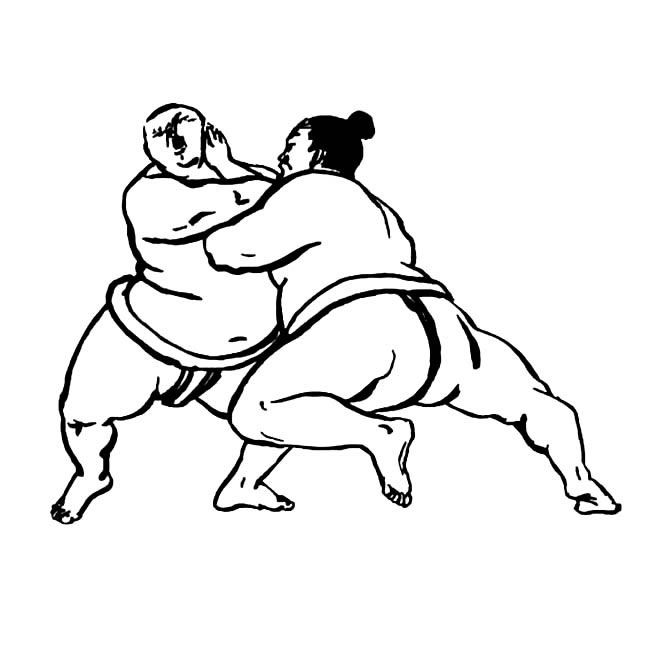 两位相扑运动员的简笔画(两位相扑运动员的特点)