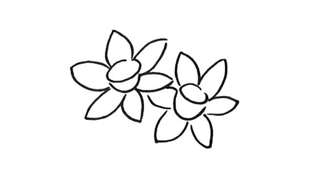 漂亮的水仙花简笔画教程