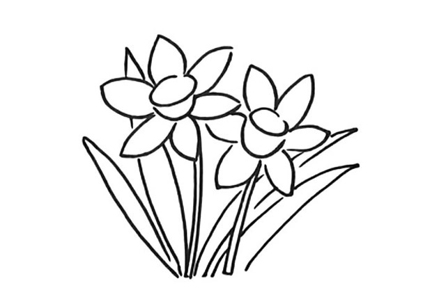 漂亮的水仙花简笔画教程