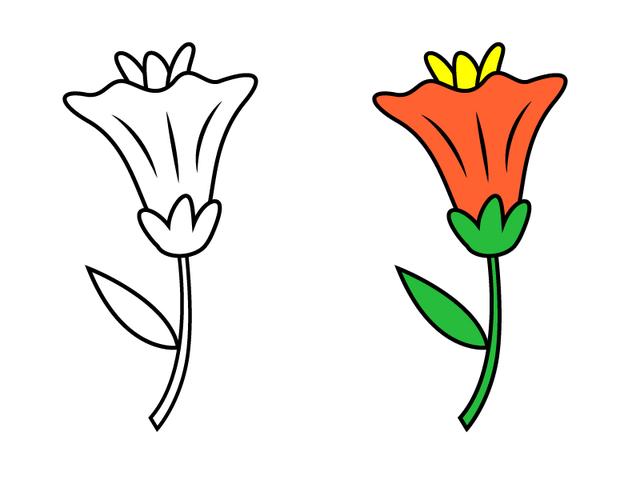 5中不同的花朵简笔画