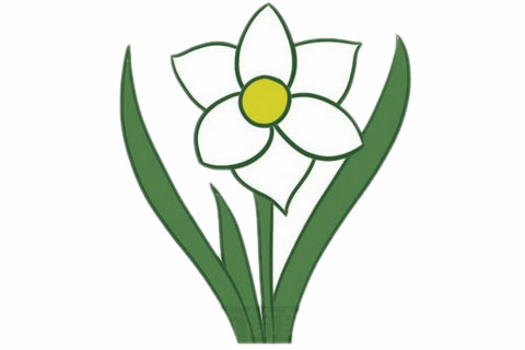 水仙花简笔画完成图