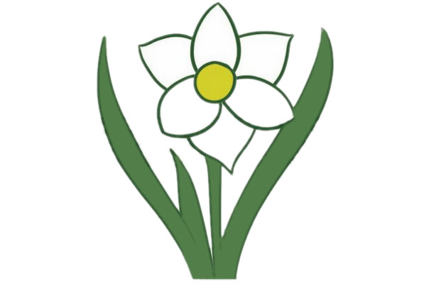 水仙花简笔画图片