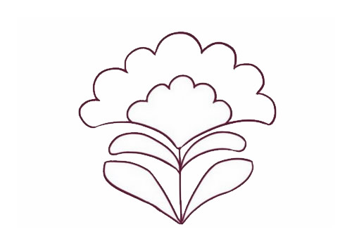 带颜色的鸡冠花简笔画