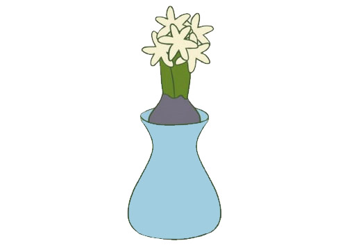 花瓶里的风信子简笔画