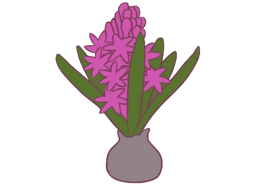 漂亮的风信子简笔画(风信子 简笔)