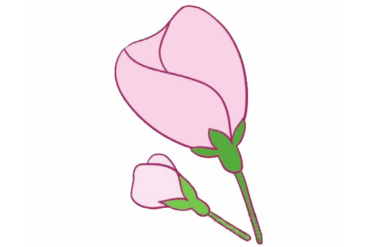粉色的海棠花简笔画(海棠花粉笔画)