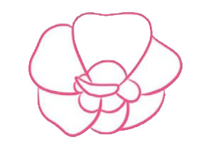 带颜色的木槿花简笔画怎么画？