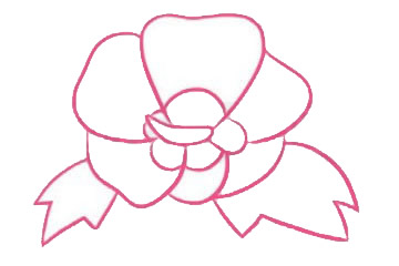 带颜色的木槿花简笔画怎么画？