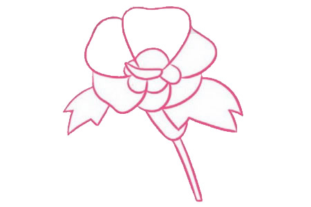 带颜色的木槿花简笔画怎么画？