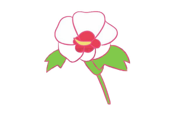 带颜色的木槿花简笔画怎么画？