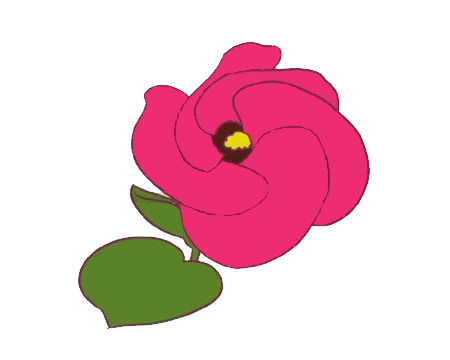 涂色的木槿花简笔画(木槿花的画法简笔画)