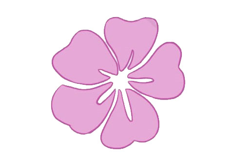 木槿花的简单画法(木槿花绘画教程)