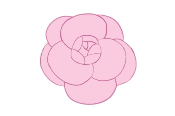 关于山茶花的简笔画(山茶花的简笔画及涂色)
