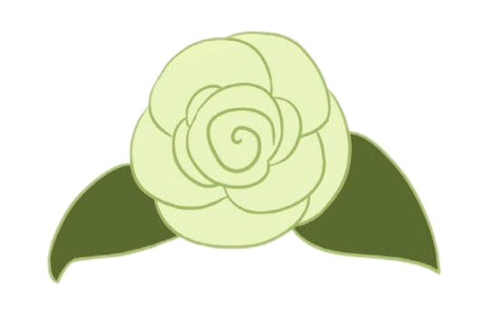 涂色的山茶花简笔画(山茶花简笔画涂色)