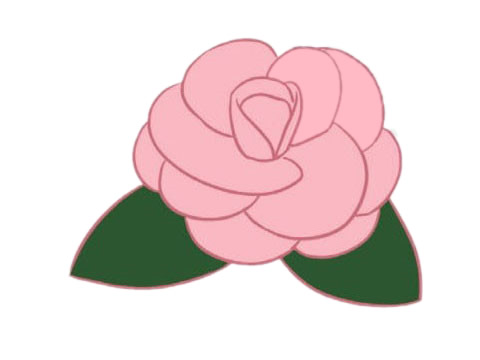 漂亮涂色的山茶花简笔画(山茶花怎么画 漂亮)