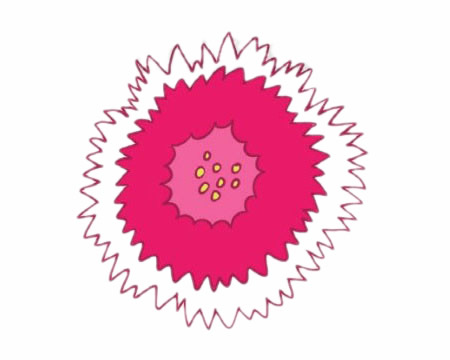 一朵石竹花简笔画(石竹花的画法)