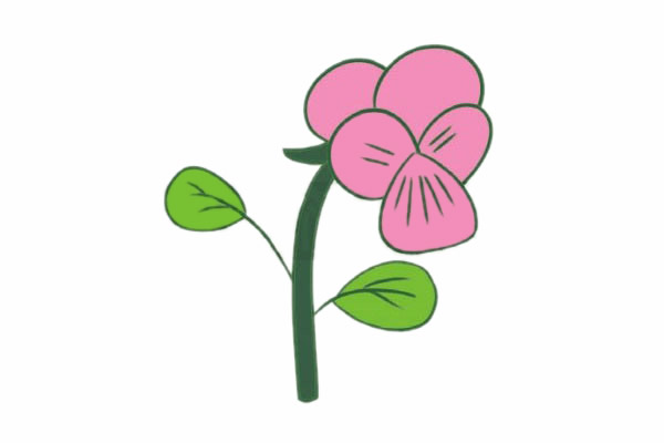 三色堇简笔画步骤教程