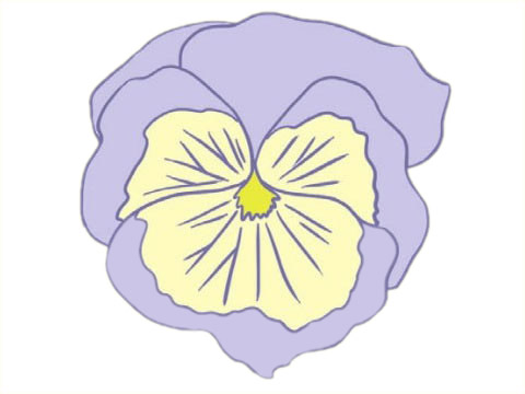 一朵三色堇的简笔画(三色堇怎么画简单又好看)