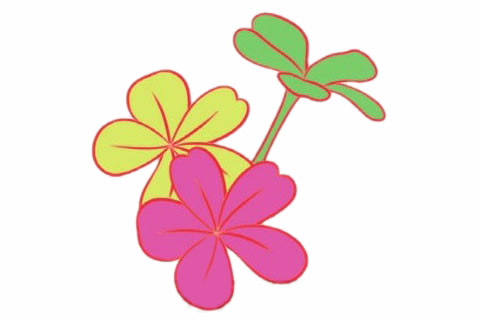 荼蘼花简笔画步骤教程(荼蘼花简笔画图片)