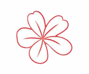 荼蘼花简笔画步骤教程