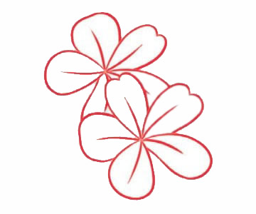 荼蘼花简笔画步骤教程