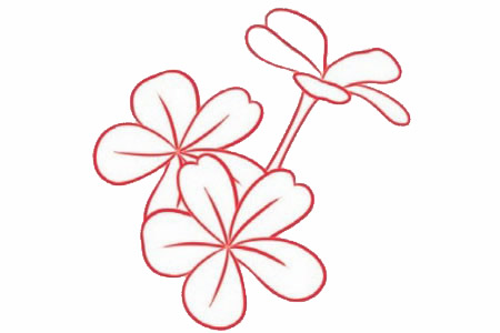 荼蘼花简笔画步骤教程