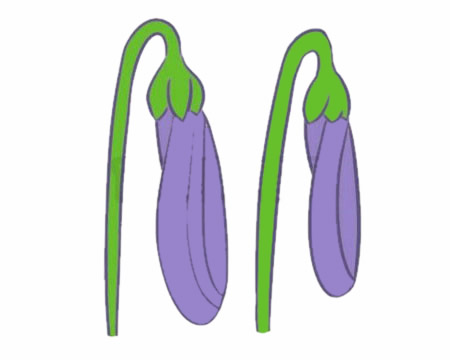 关于仙客来的简笔画(仙客来的画法简单彩色)