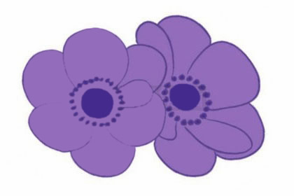 紫色的银莲花简笔画(紫色莲花简笔画)