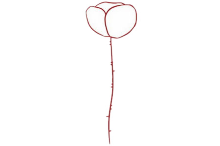 带颜色的虞美人简笔画教程 带颜色的虞美人简笔画教程