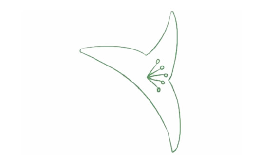 带颜色的百合花简笔画怎么画？