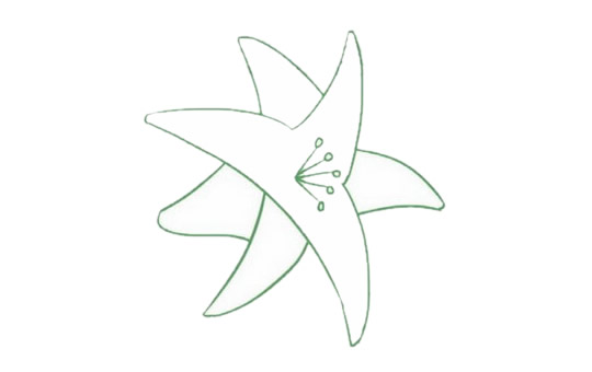 带颜色的百合花简笔画怎么画？