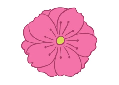 一朵漂亮的樱花简笔画(一朵樱花怎么画漂亮又简单)