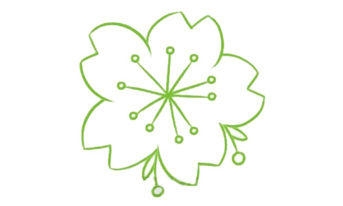 带颜色的樱花简笔画怎么画？