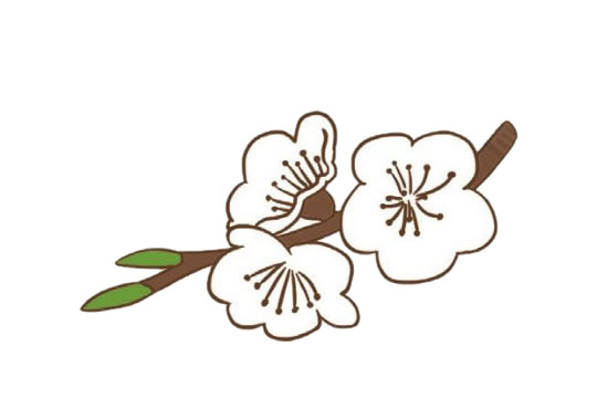 简单好看的樱花怎么画(简单好看的绘画)