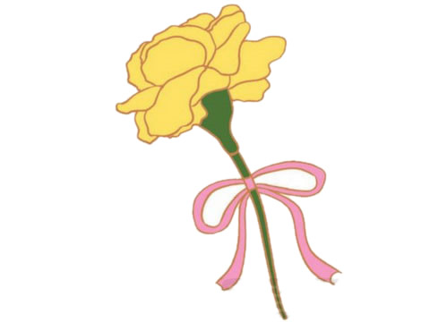 黄色的康乃馨简笔画(康乃馨简笔画 颜色)