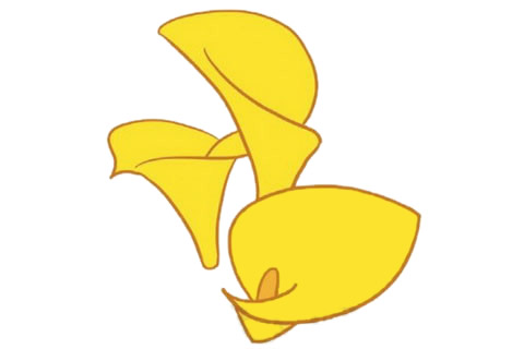 带颜色的马蹄莲简笔画怎么画？(带颜色的马蹄莲简单画法)