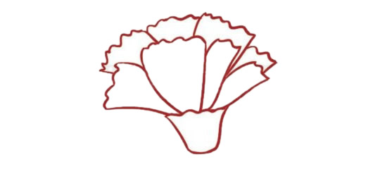 带颜色的康乃馨简笔画怎么画？