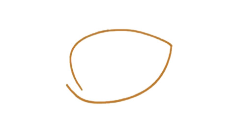 带颜色的马蹄莲简笔画怎么画？