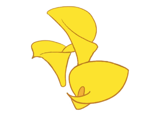 带颜色的马蹄莲简笔画怎么画？