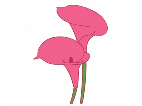 简单漂亮的马蹄莲怎么画(简单漂亮的马蹄莲图片)