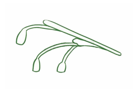 带颜色的铃兰花简笔画怎么画？