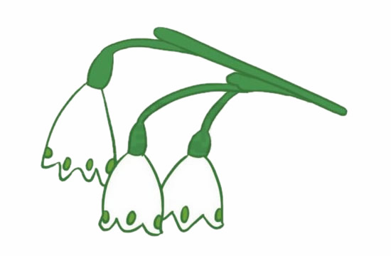 带颜色的铃兰花简笔画怎么画？