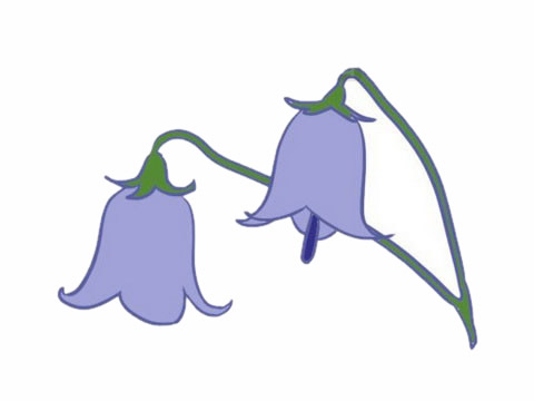 紫色的铃兰花简笔画(铃兰花的画法简笔)