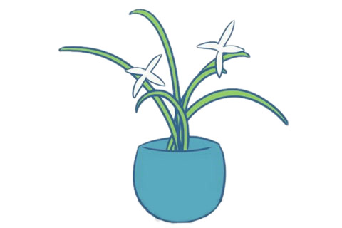 兰花简笔画的步骤教程(兰花简笔画的步骤图片)