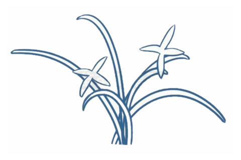 兰花简笔画的步骤教程