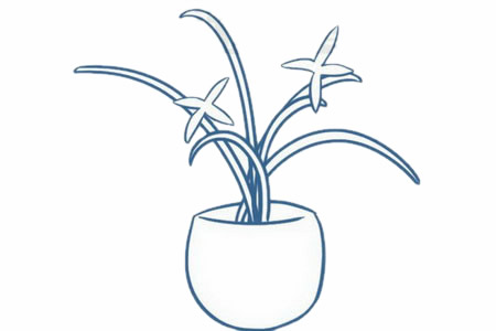 兰花简笔画的步骤教程